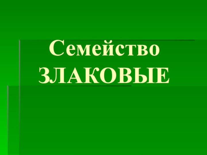 Семейство ЗЛАКОВЫЕ