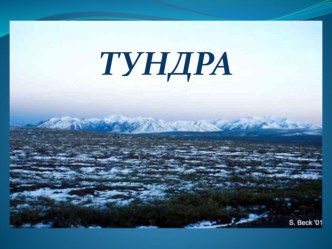 Презентация по окружающему миру на тему Тундра