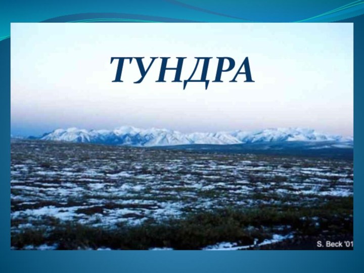 ТУНДРАТУНДРА