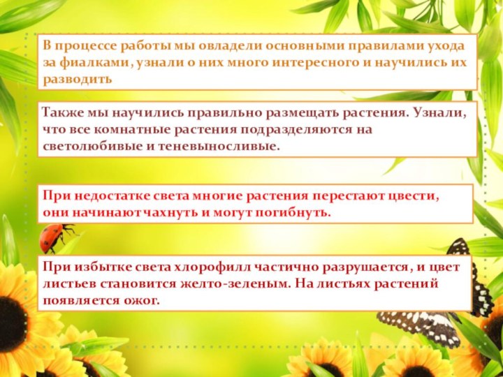 В процессе работы мы овладели основными правилами ухода за фиалками, узнали о