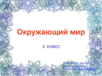 Где живут белые медведи и пингвины? Презентация и конспект урока по окружающему миру (1 класс)