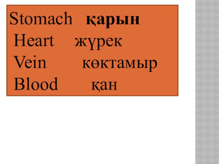 Stomach 	қарын Heart 		жүрек Vein 		  көктамыр Вlood 	   қан