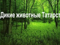 Презентация Дикие животные Татарстана