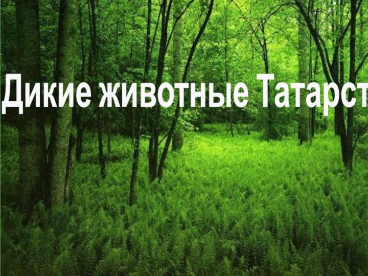 Дикие животные Татарстана