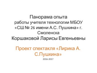 Презентация по технологии на тему Панорама опыта работы учителя