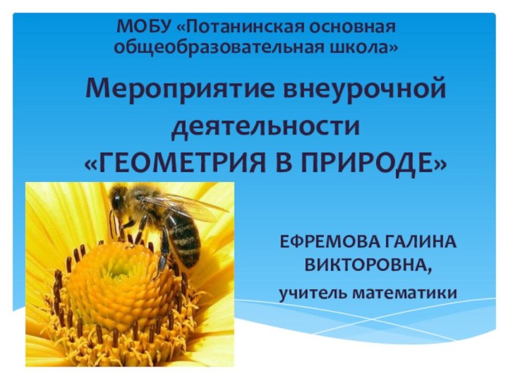 Мероприятие внеурочной деятельности  «ГЕОМЕТРИЯ В ПРИРОДЕ»ЕФРЕМОВА ГАЛИНА ВИКТОРОВНА, учитель математикиМОБУ «Потанинская основная общеобразовательная школа»