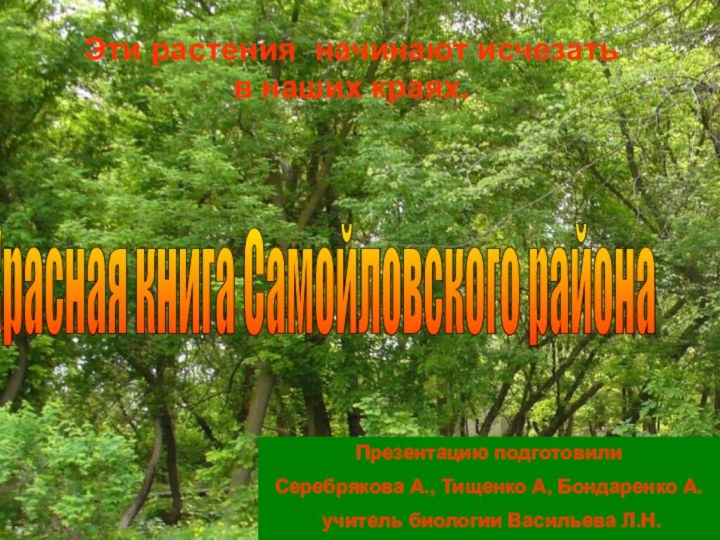 Красная книга Самойловского района Презентацию подготовили Серебрякова А., Тищенко А, Бондаренко А.