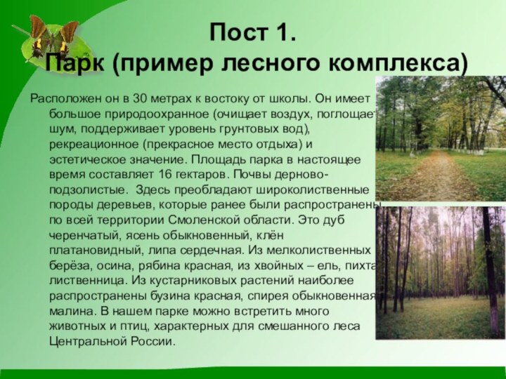Пост 1. Парк (пример лесного комплекса)Расположен он в 30 метрах к