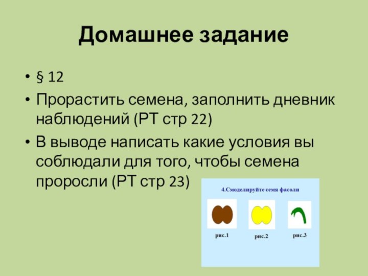 Домашнее задание§ 12Прорастить семена, заполнить дневник наблюдений (РТ стр 22)В выводе написать