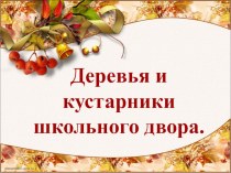 Презентация по экологии Деревья школьного двора (2 класс)