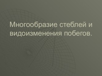 Презентация по биологии на тему Видоизменения стеблей и побегов