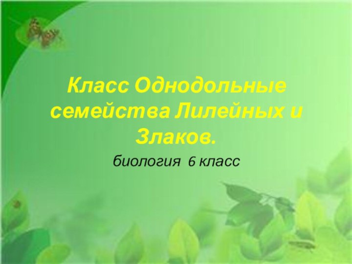 Класс Однодольные семейства Лилейных и Злаков. биология 6 класс