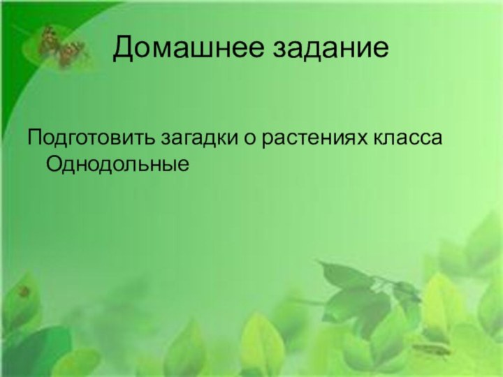 Домашнее заданиеПодготовить загадки о растениях класса Однодольные