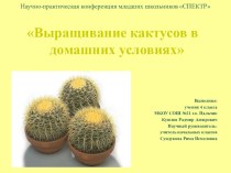 Презентация Выращивание кактусов в домашних условиях ( 4 класс )