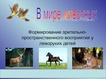 Презентация по окружающему миру В мире животных