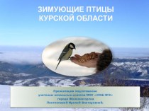 Презентация Зимующие птицы Курской области