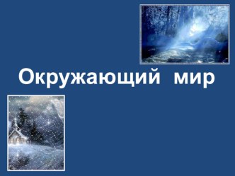 Презентация к уроку окружающего мира на тему Термометр (2класс)