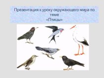Презентация по окружающему миру на тему Птицы (3 класс)