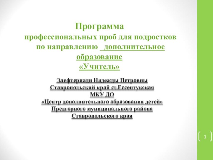 Программа  профессиональных проб для подростков  по направлению _дополнительное образование «Учитель»Элефтериади