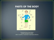 PARTS OF THE BODY 3 класс