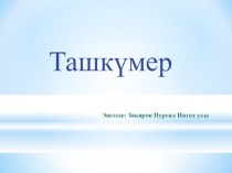 Презентация по окружающему миру на тему Ташкүмер