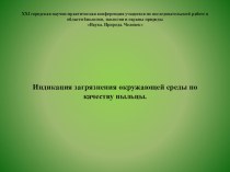 Индикация загрязнения окружающей среды по качеству пыльцы.