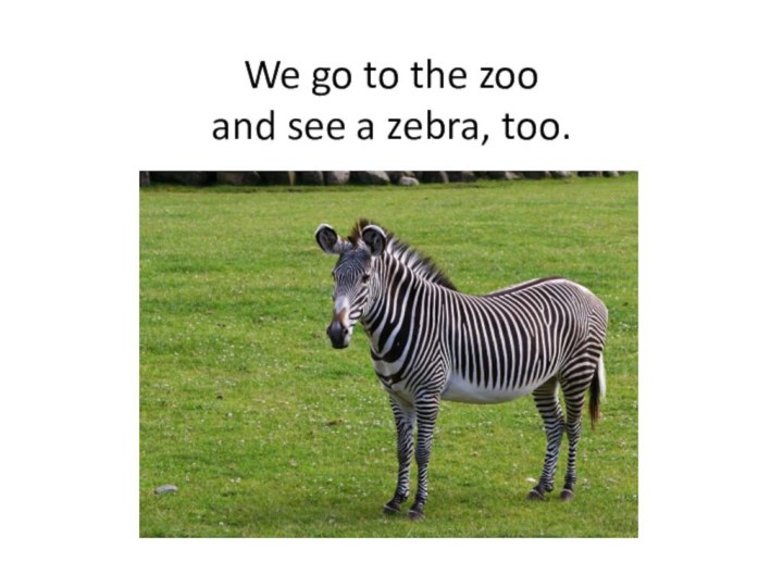 We go to the zoo and see a zebra, too.