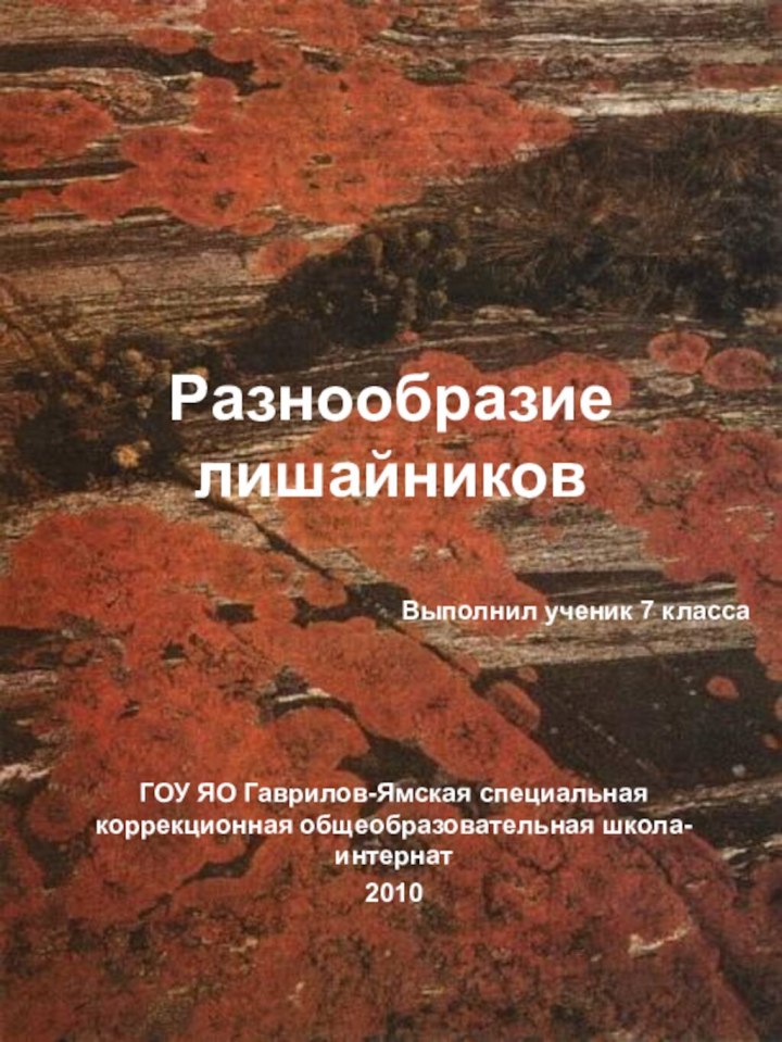 Разнообразие лишайниковВыполнил ученик 7 класса ГОУ ЯО Гаврилов-Ямская специальная коррекционная общеобразовательная школа- интернат2010