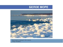 Презентация по окружающему миру Белое море (3 класс)