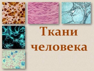 Презентация Ткани 8 класс