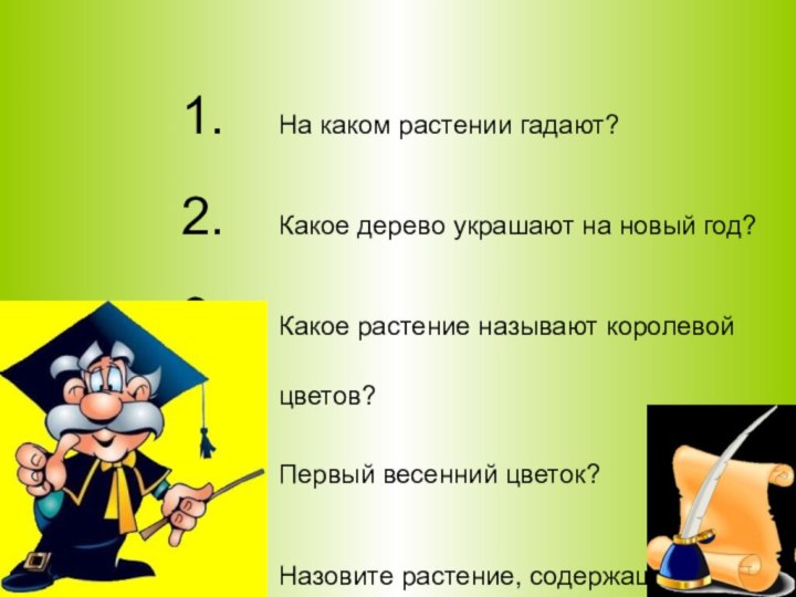 На каком растении гадают?Какое дерево украшают на новый год?Какое растение называют королевой