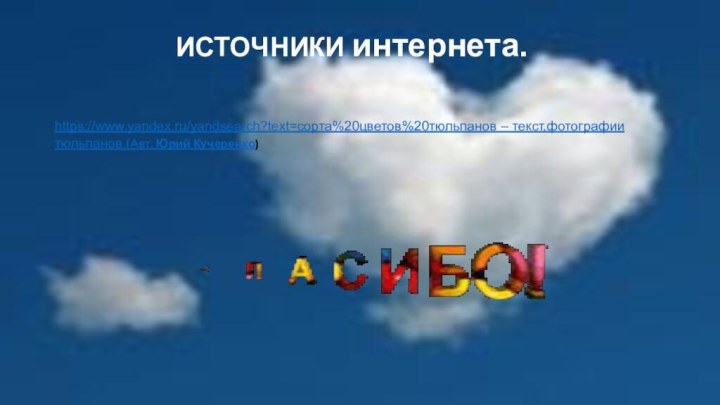 ИСТОЧНИКИ интернета. https://www.yandex.ru/yandsearch?text=сорта%20цветов%20тюльпанов – текст,фотографии тюльпанов.(Авт. Юрий Кучеренко)