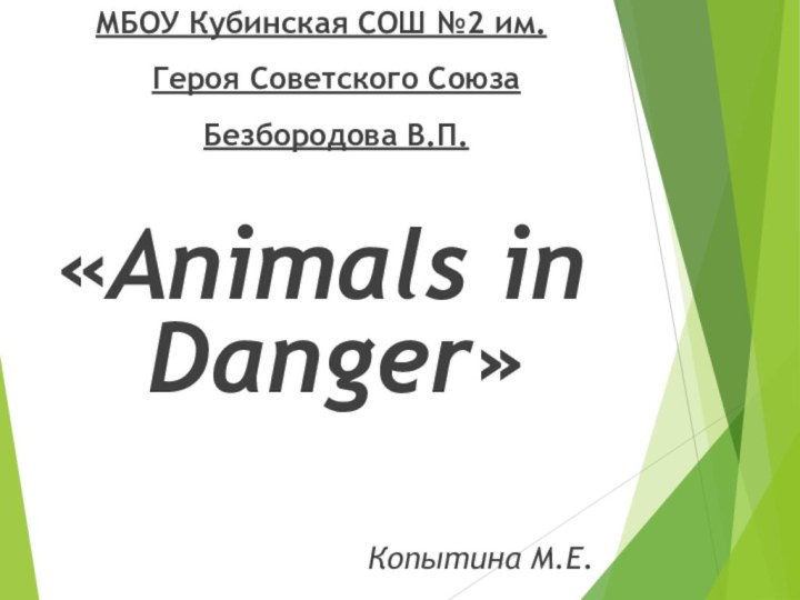 МБОУ Кубинская СОШ №2 им. Героя Советского Союза Безбородова В.П.«Animals in Danger»Копытина М.Е.