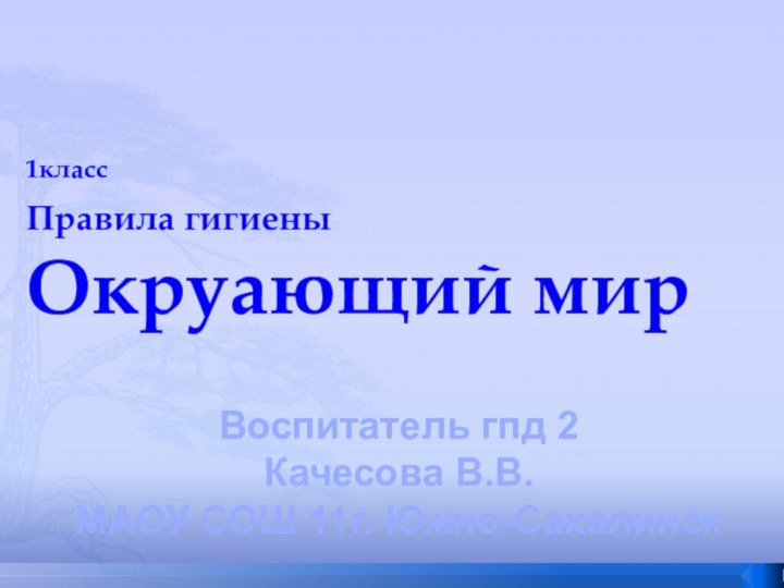 1класс  Правила гигиены Окруающий мирВоспитатель гпд 2Качесова В.В.МАОУ СОШ 11г. Южно-Сахалинск