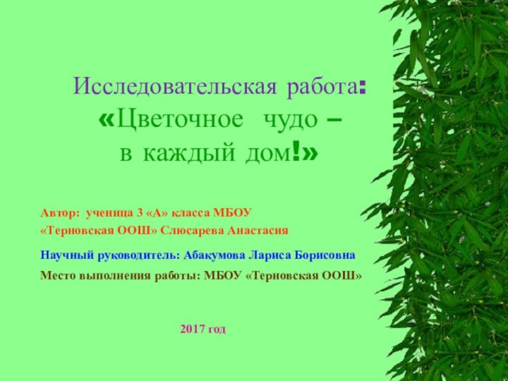 Исследовательская работа:  «Цветочное чудо –  в каждый дом!»Автор: ученица 3