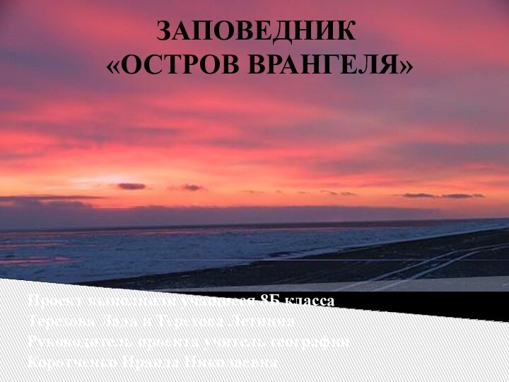 ЗАПОВЕДНИК «ОСТРОВ ВРАНГЕЛЯ»Проект выполнили учащиеся 8Б классаТерехова Лада и Терехова ЛетицияРуководитель проекта