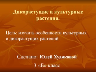 Презентация по окружающему миру на темуДикорастущие и культурные растения,3 класс