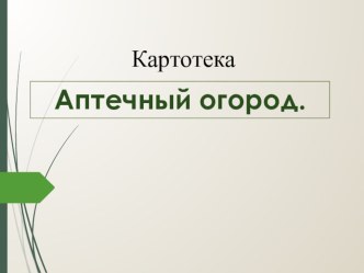 Презентация Картотека лекарственных растений