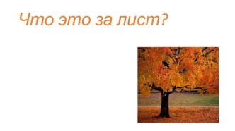 Презентация по окружающему миру 1 класс Что это за листья