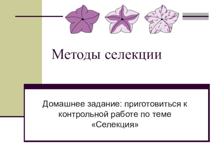 Методы селекцииДомашнее задание: приготовиться к контрольной работе по теме «Селекция»