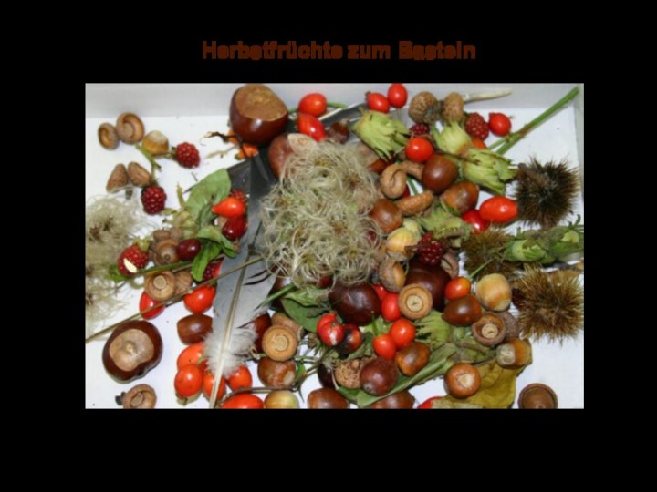 Herbstfrüchte zum Basteln