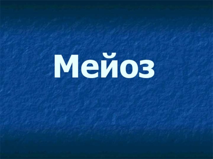 Мейоз