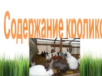 Презентация по сельскохозяйственному труду на тему Содержание кроликов.