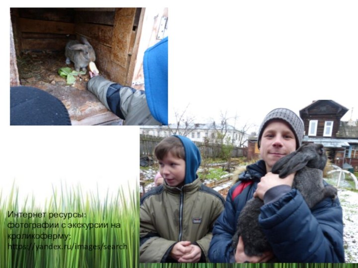 Интернет ресурсы:фотографии с экскурсии на кроликоферму;https://yandex.ru/images/search