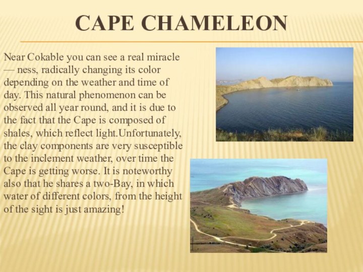 CAPE CHAMELEONNear Cokable you can see a real miracle— ness, radically changing