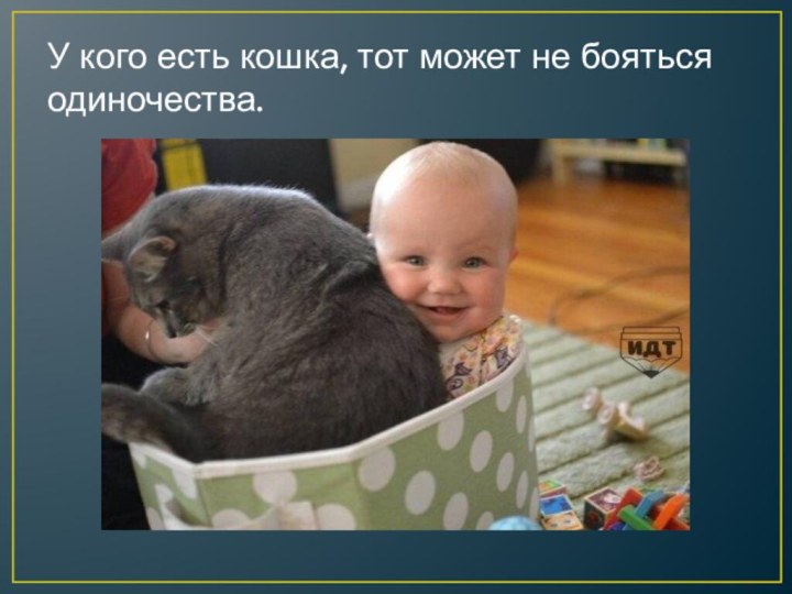 У кого есть кошка, тот может не бояться одиночества.