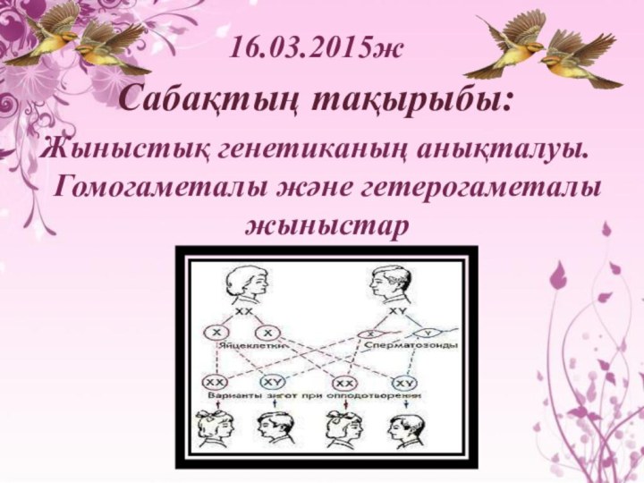 16.03.2015жСабақтың тақырыбы:Жыныстық генетиканың анықталуы. Гомогаметалы және гетерогаметалы жыныстар