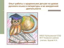 Опыт работы с одаренными детьми на уроках русского языка и литературы и во внеурочной деятельности