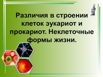 Презентация по биологии на тему Различия в строении клеток эукариот и прокариот. Неклеточные формы жизни.