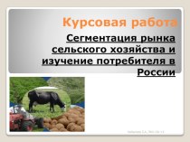 Сегментация рынка сельского хозяйства и изучение потребителя в России